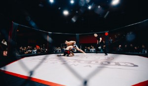 Matt Riddle Teases MMA Return Amidst Wrestling Success